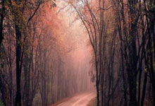 本赛季西甲成功过人榜：亚马尔断崖领跑，姆巴佩、维尼修斯在列.