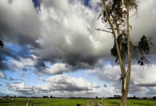 奇异果体育：记者：这是史上最拼的国足，抱着直接晋级想法才能保第四的底线.