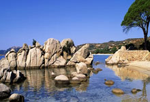 记者：如果一切按照计划进行，预计库巴西可以出战奥萨苏纳.